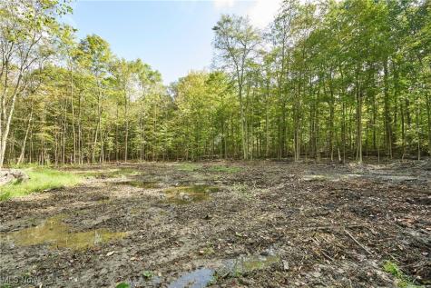 6697 Boneta Road Medina OH 44256