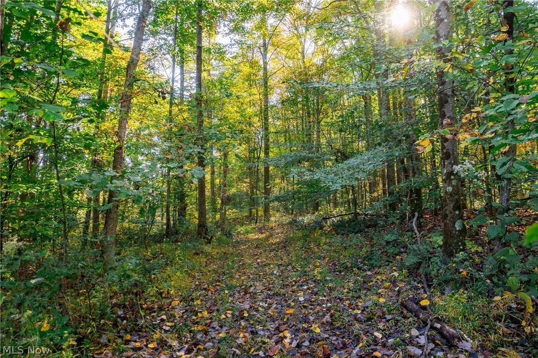 6985 Brush Run Road Cambridge OH 43725