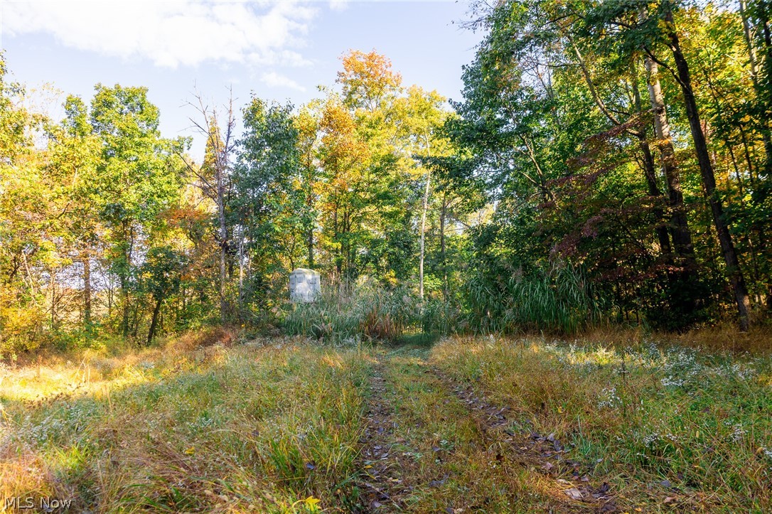6985 Brush Run Road Cambridge OH 43725