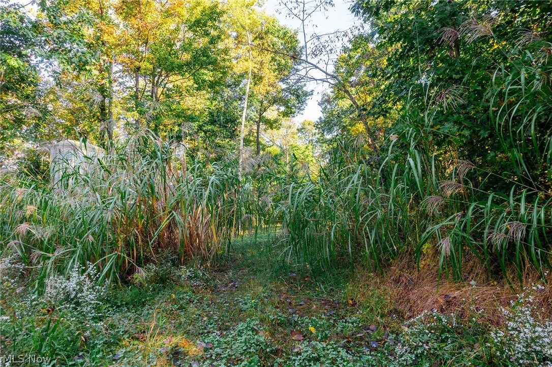 6985 Brush Run Road Cambridge OH 43725