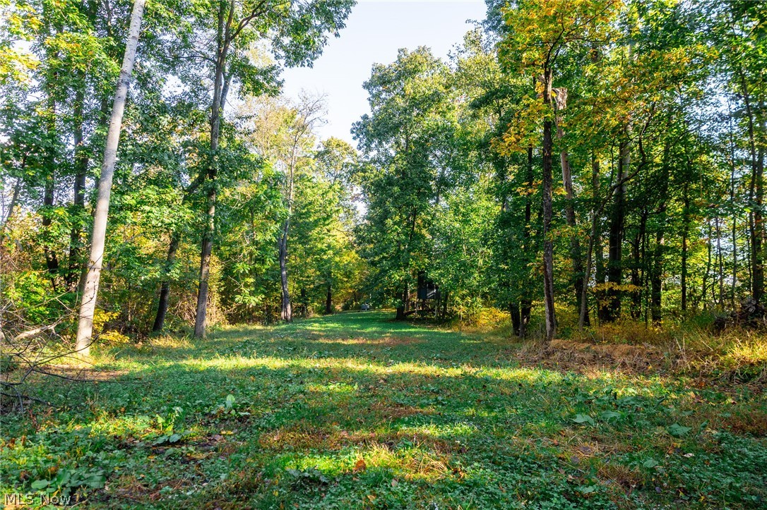 6985 Brush Run Road Cambridge OH 43725
