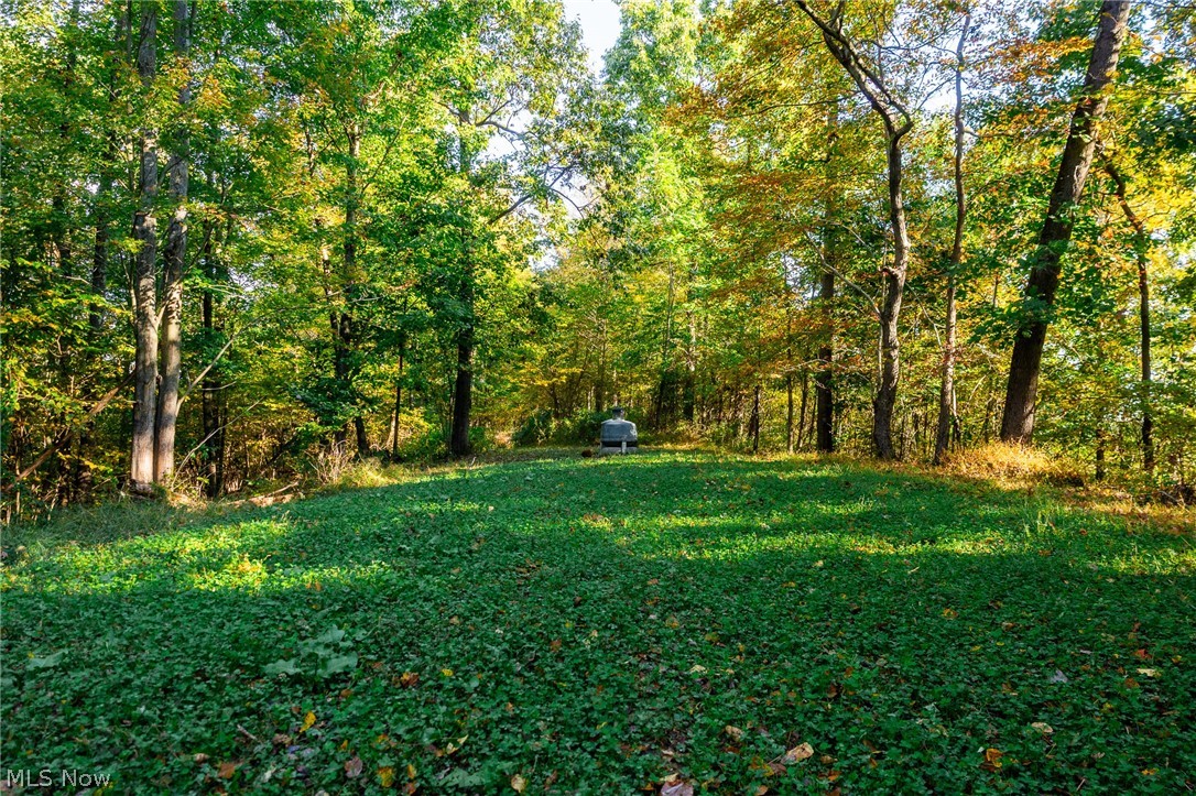 6985 Brush Run Road Cambridge OH 43725