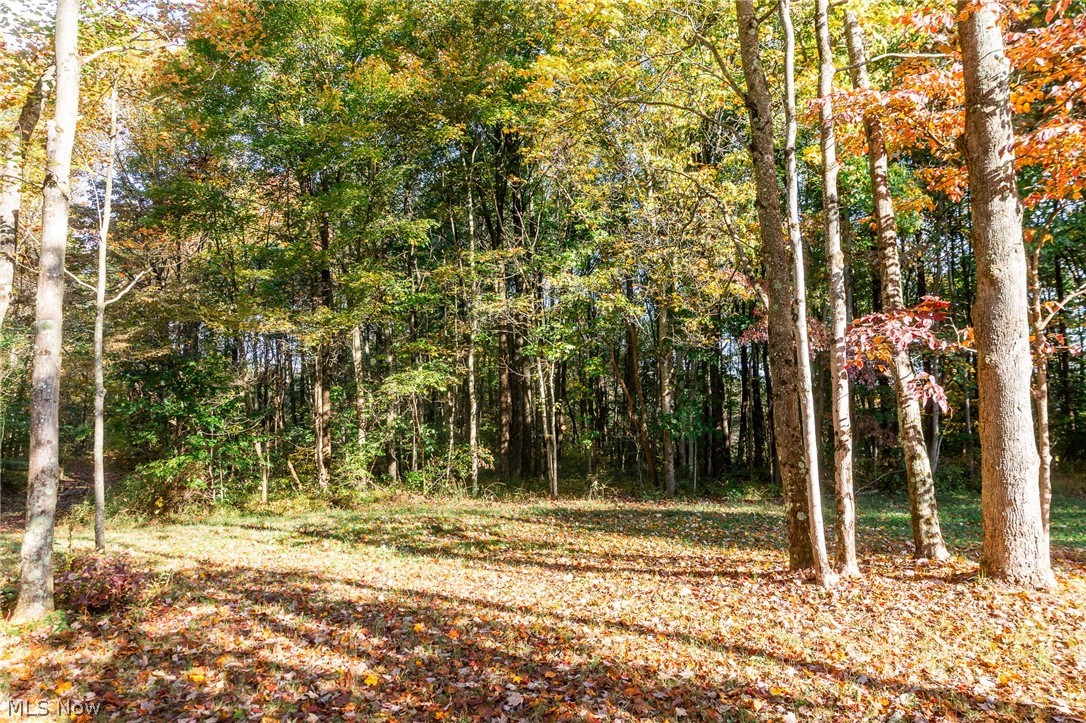 6985 Brush Run Road Cambridge OH 43725