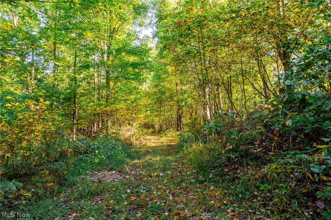 6985 Brush Run Road Cambridge OH 43725