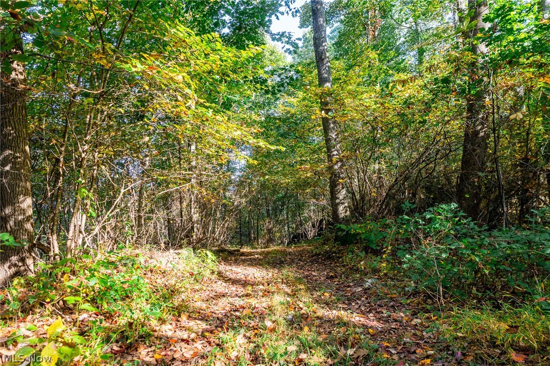 6985 Brush Run Road Cambridge OH 43725