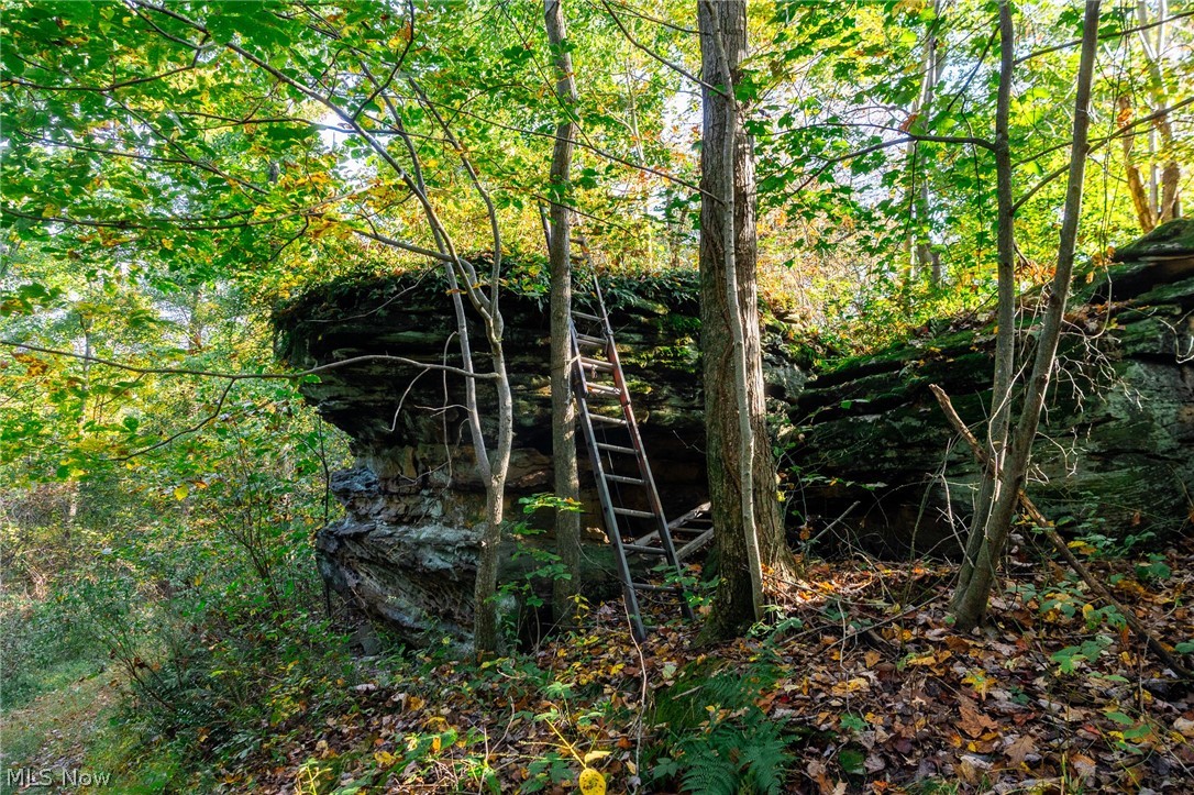 6985 Brush Run Road Cambridge OH 43725