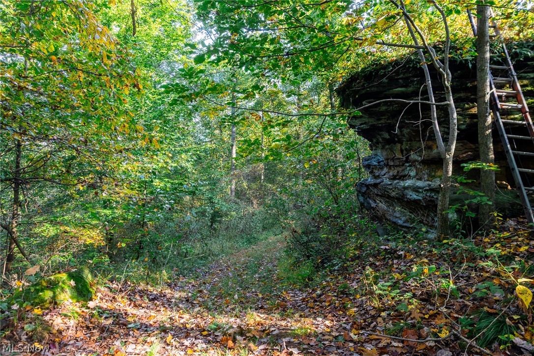 6985 Brush Run Road Cambridge OH 43725