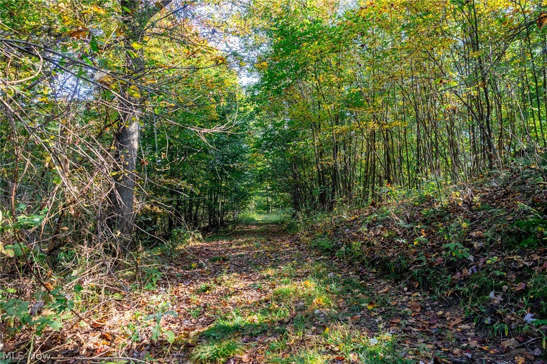 6985 Brush Run Road Cambridge OH 43725