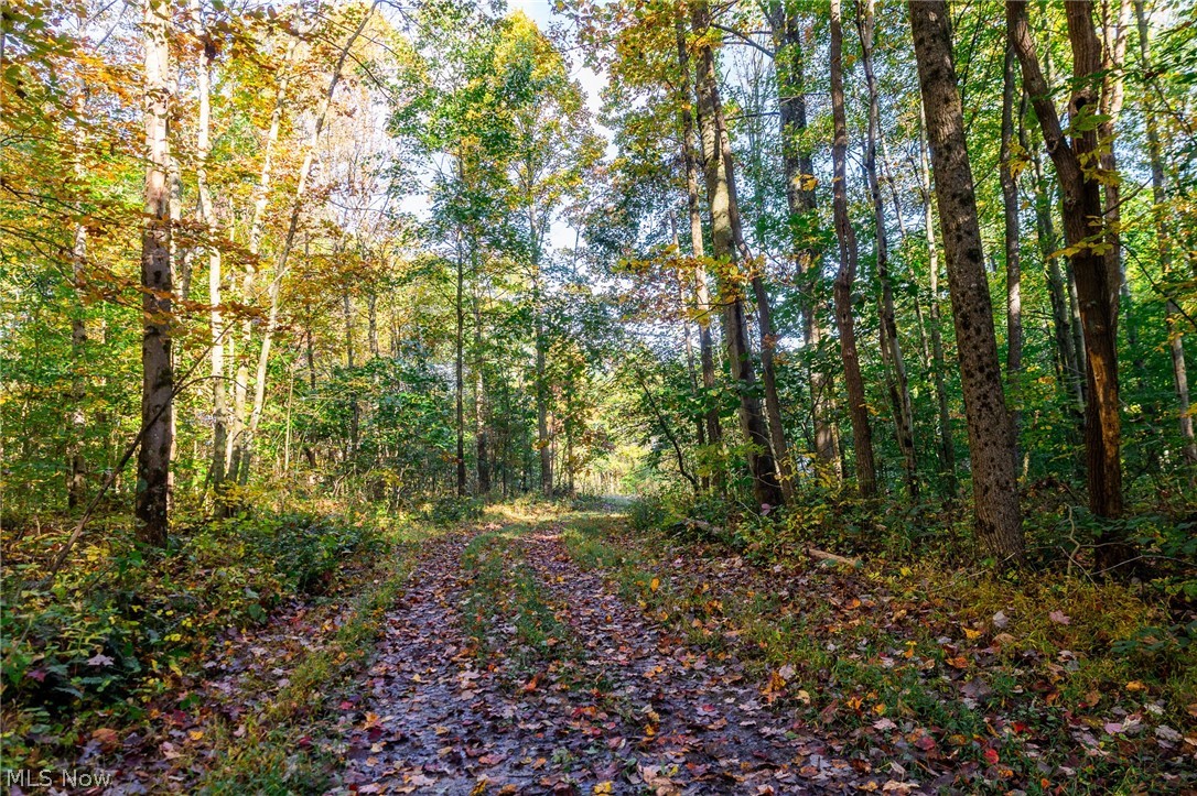 6985 Brush Run Road Cambridge OH 43725