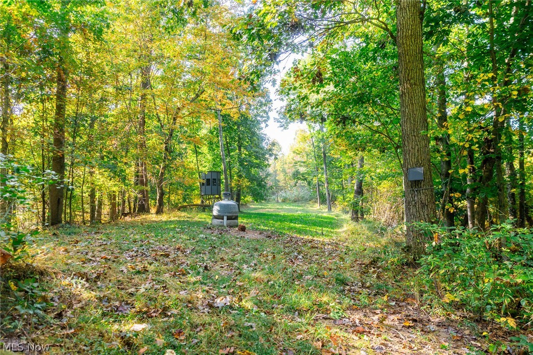 6985 Brush Run Road Cambridge OH 43725