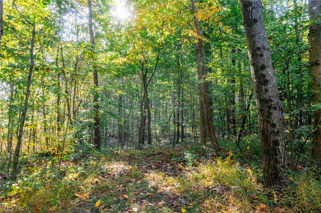 6985 Brush Run Road Cambridge OH 43725