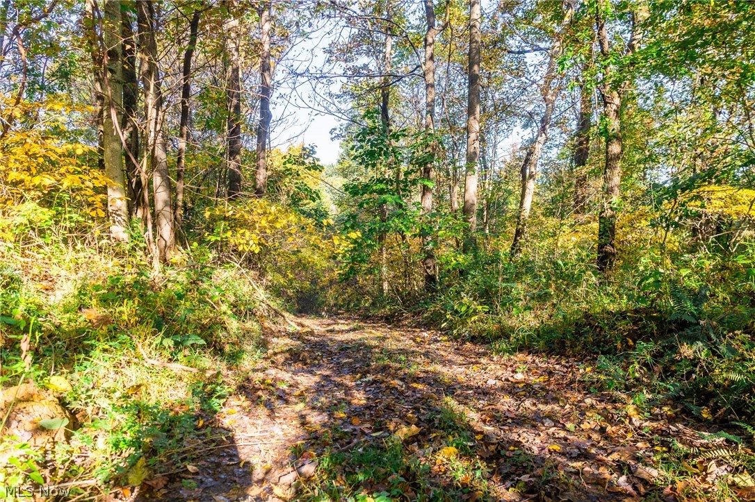 6985 Brush Run Road Cambridge OH 43725
