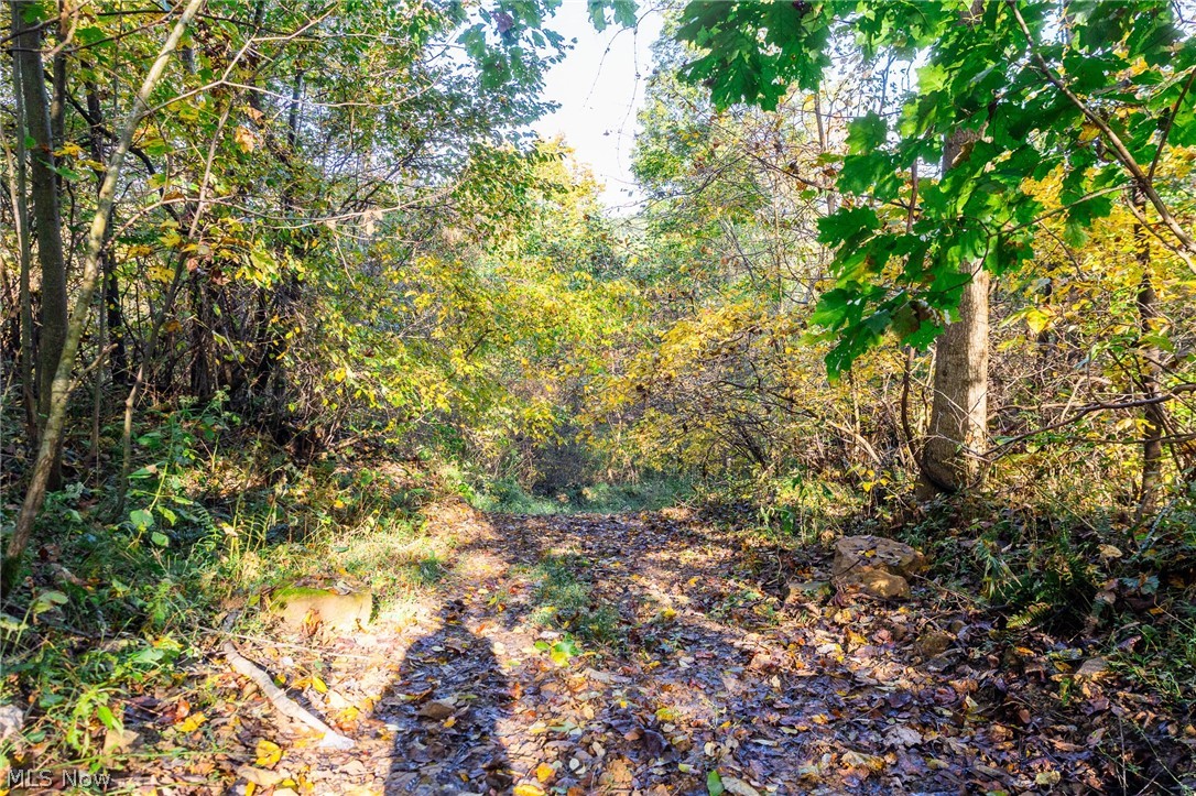 6985 Brush Run Road Cambridge OH 43725