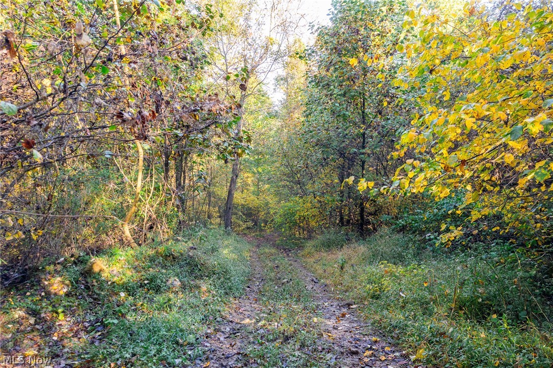 6985 Brush Run Road Cambridge OH 43725