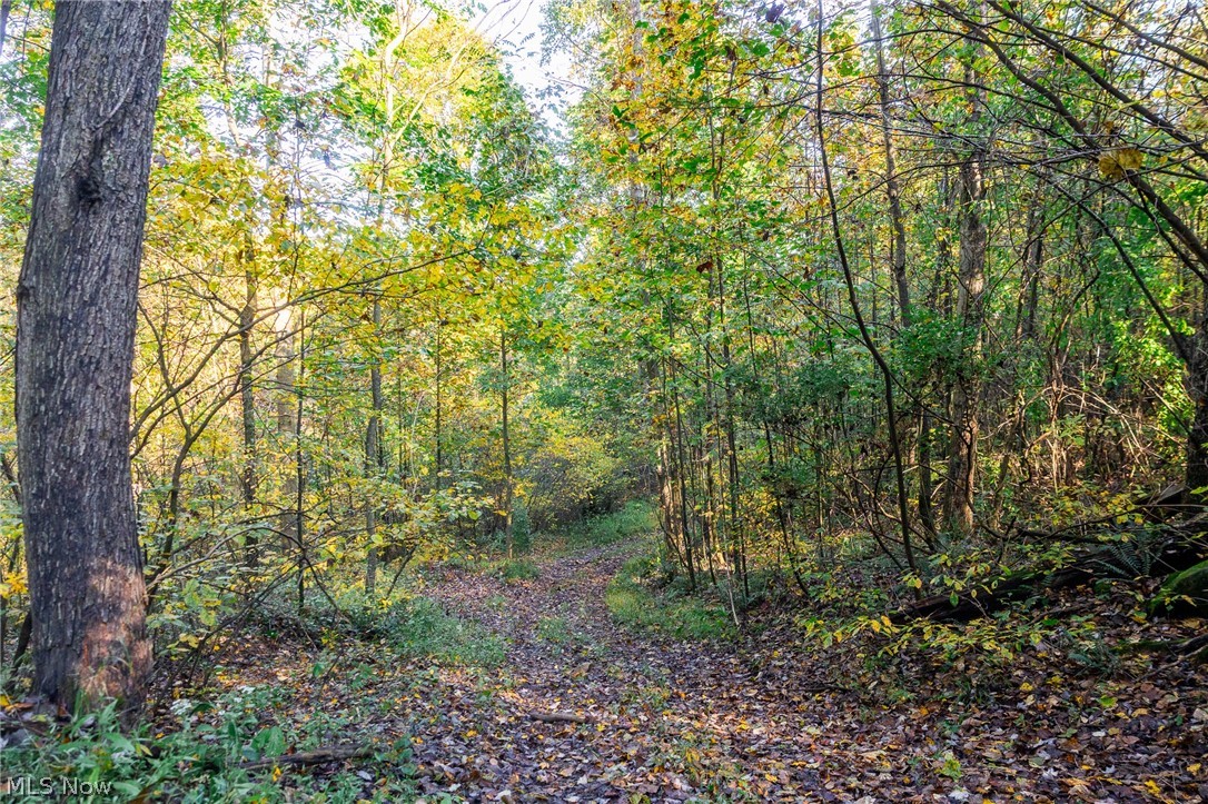6985 Brush Run Road Cambridge OH 43725