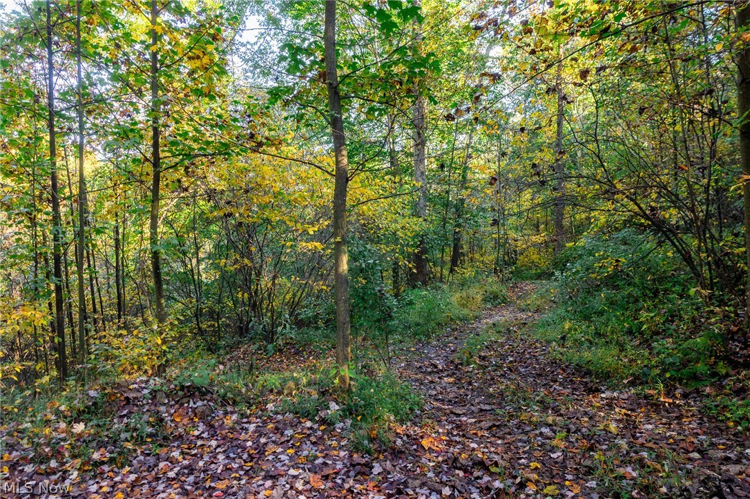 6985 Brush Run Road Cambridge OH 43725