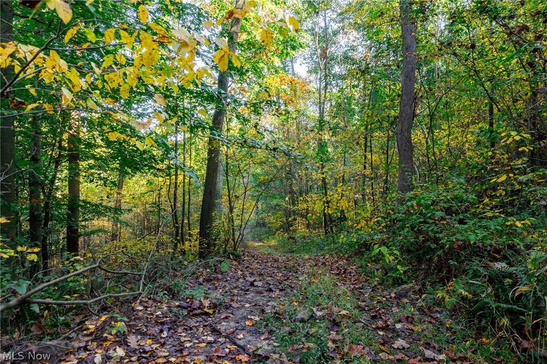 6985 Brush Run Road Cambridge OH 43725