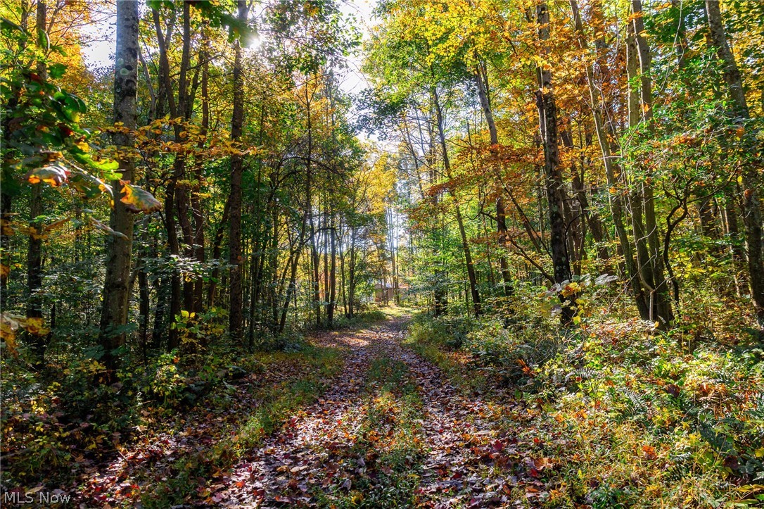 6985 Brush Run Road Cambridge OH 43725