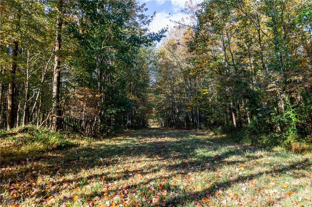 6985 Brush Run Road Cambridge OH 43725