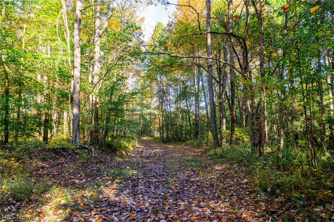 6985 Brush Run Road Cambridge OH 43725