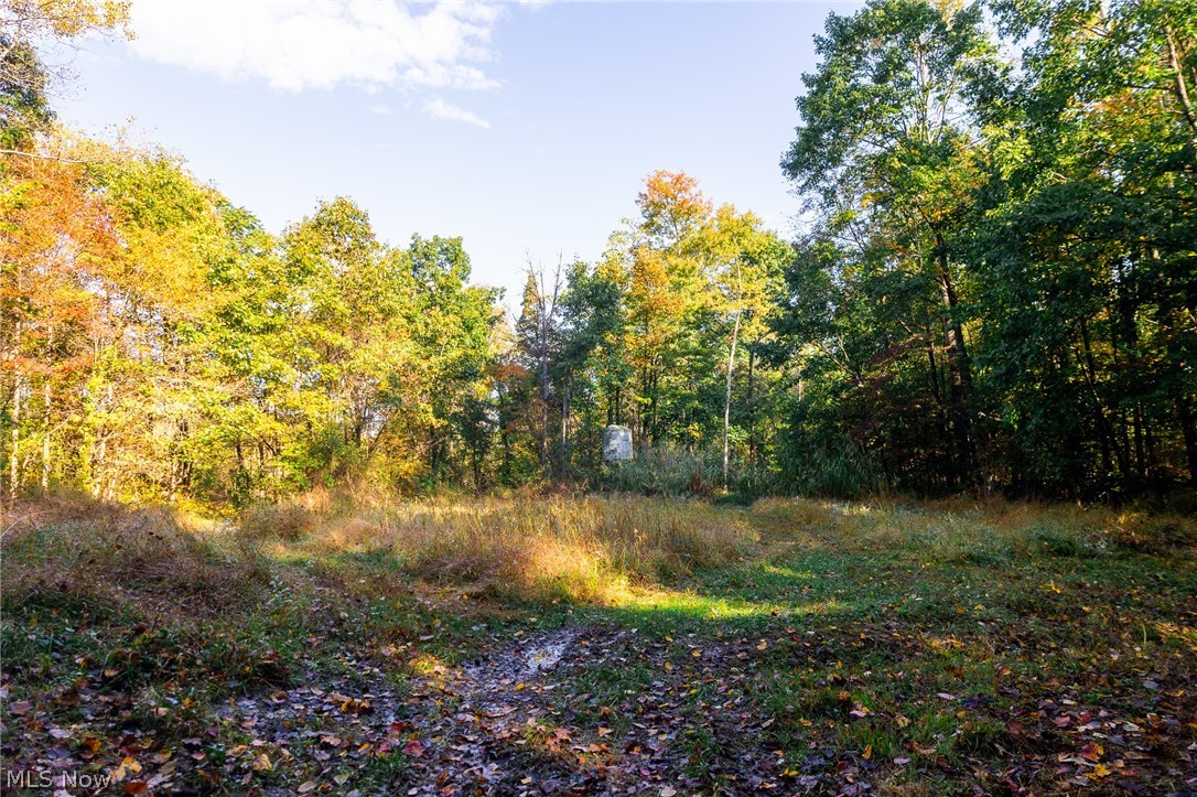6985 Brush Run Road Cambridge OH 43725