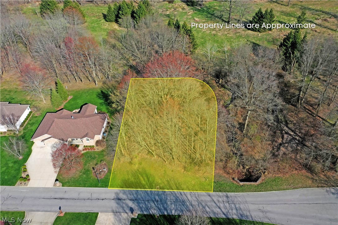 St Andrews Court Cortland OH 44410