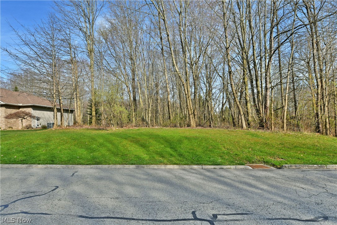 St Andrews Court Cortland OH 44410