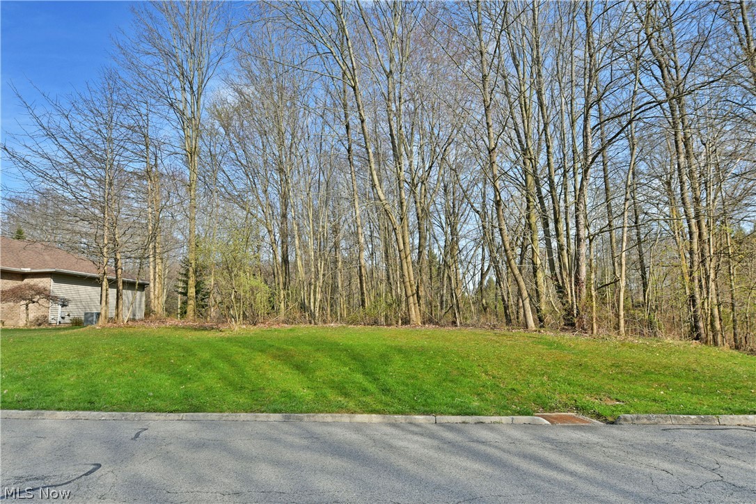 St Andrews Court Cortland OH 44410