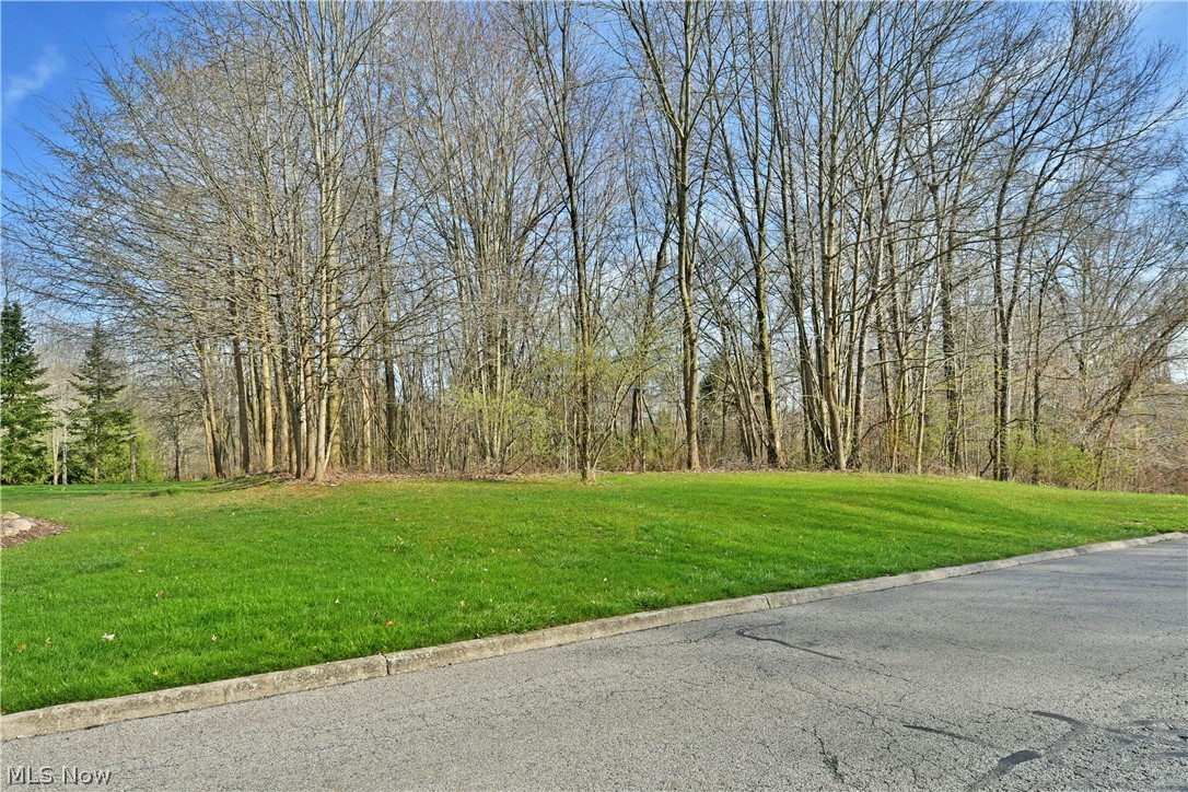 St Andrews Court Cortland OH 44410