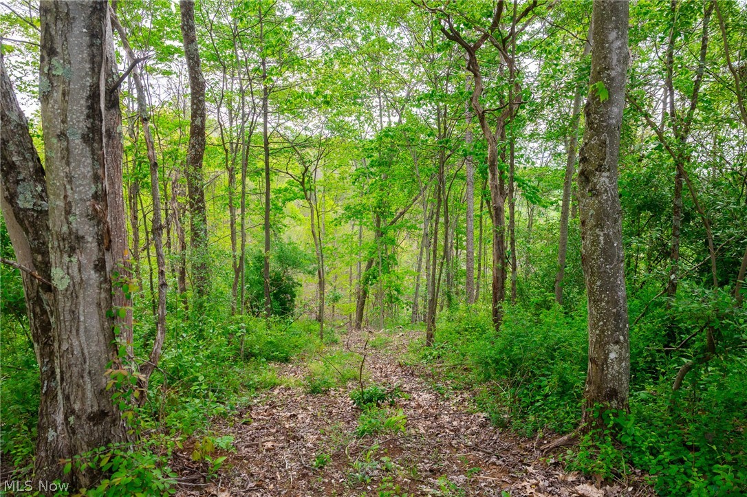 37795 Sheep Skin Ridge Lower Salem OH 45745