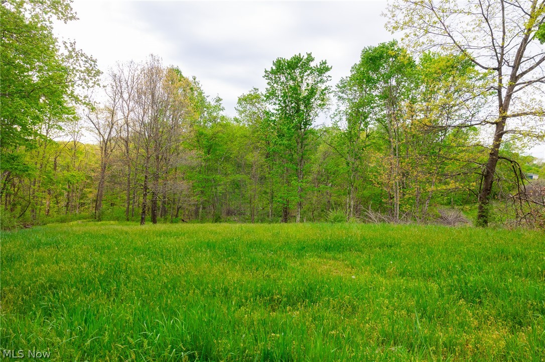 37795 Sheep Skin Ridge Lower Salem OH 45745
