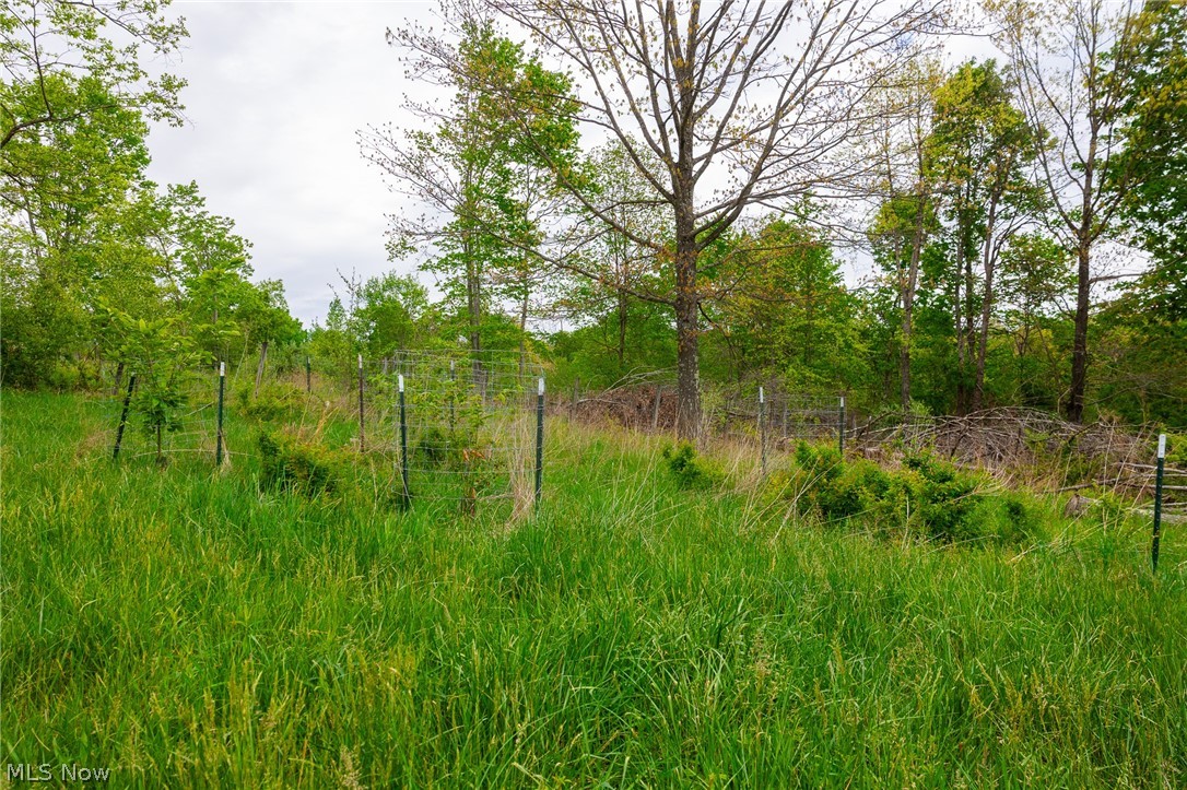 37795 Sheep Skin Ridge Lower Salem OH 45745