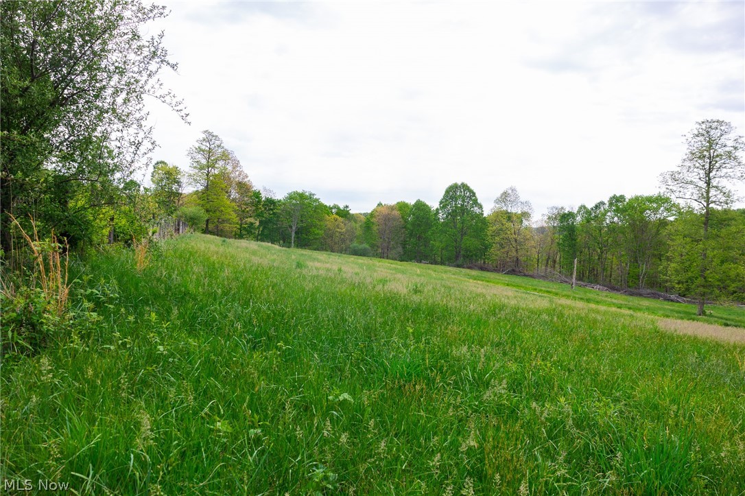 37795 Sheep Skin Ridge Lower Salem OH 45745