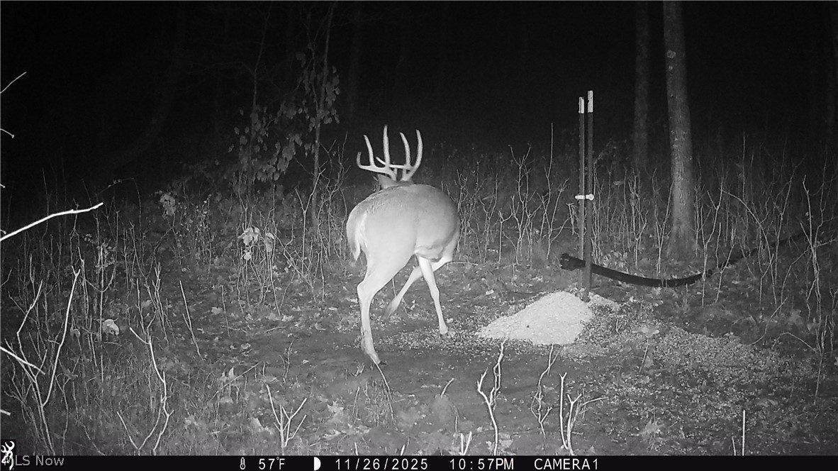 37795 Sheep Skin Ridge Lower Salem OH 45745