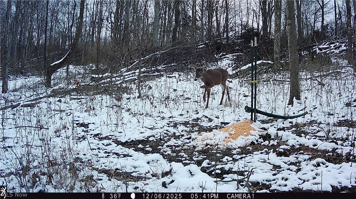 37795 Sheep Skin Ridge Lower Salem OH 45745