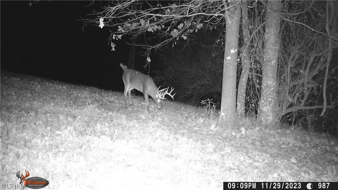 37795 Sheep Skin Ridge Lower Salem OH 45745