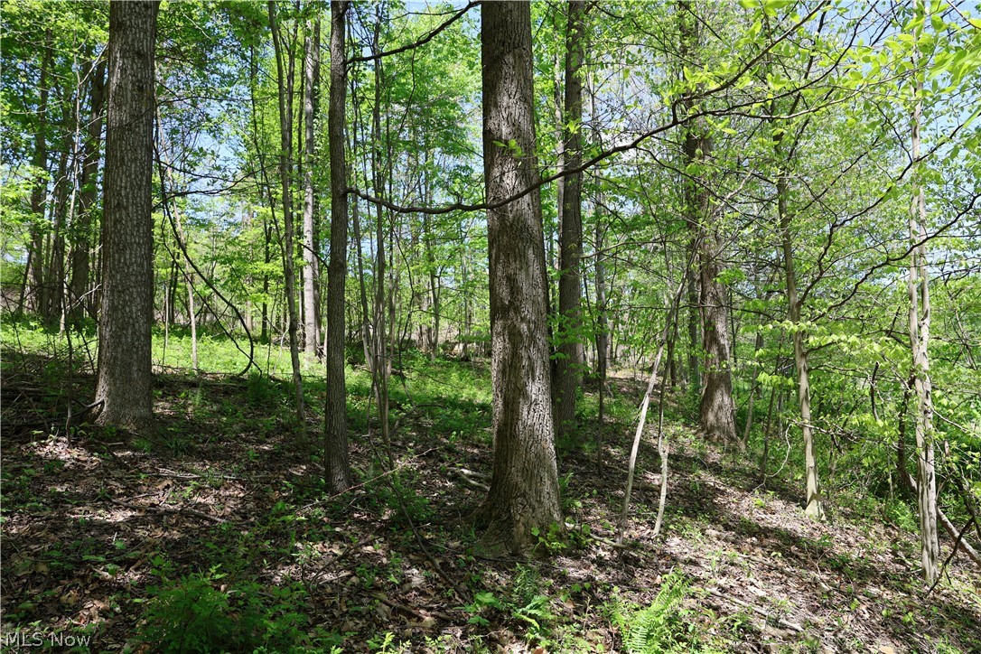 County Road 33 Warsaw OH 43844