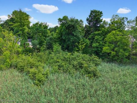 389 Opal Court Streetsboro OH 44241