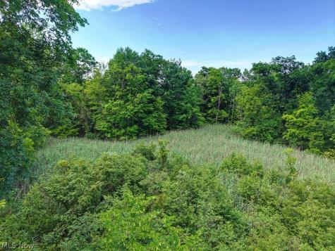 389 Opal Court Streetsboro OH 44241