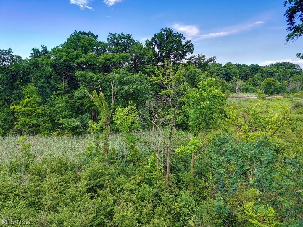 389 Opal Court Streetsboro OH 44241