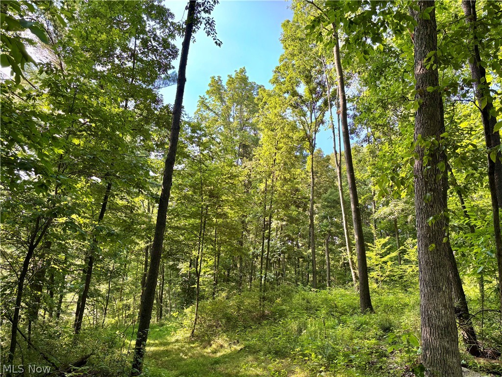 5620 Township Road 212 Lakeville OH 44638