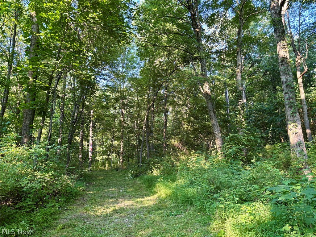 5620 Township Road 212 Lakeville OH 44638