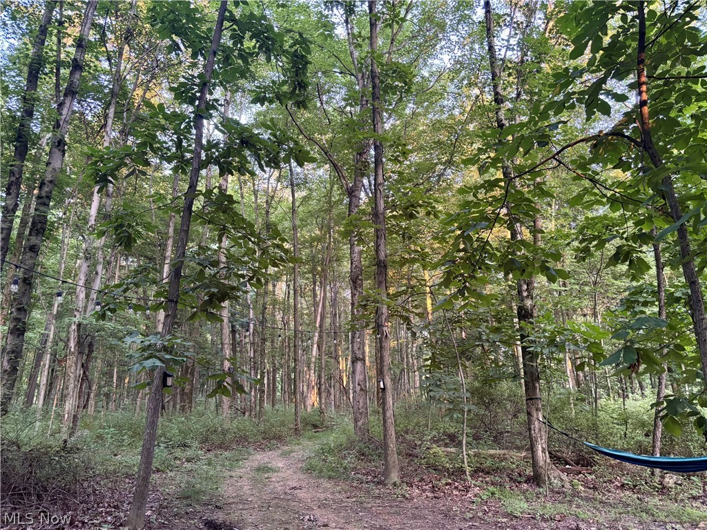 5620 Township Road 212 Lakeville OH 44638