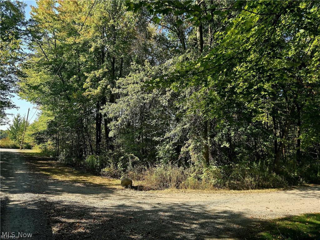 10745 Leffingwell Road North Benton OH 44449