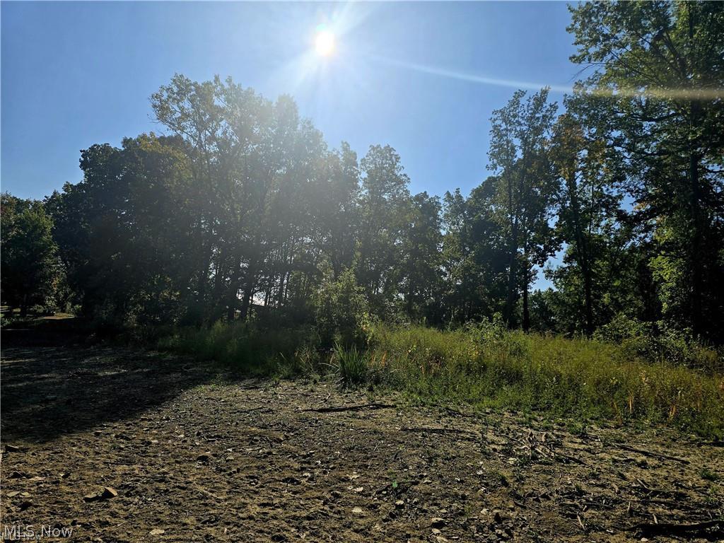 10745 Leffingwell Road North Benton OH 44449