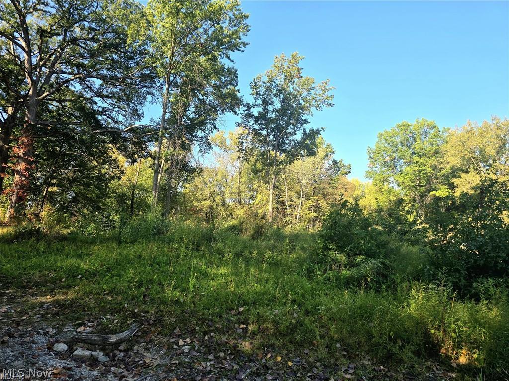 10745 Leffingwell Road North Benton OH 44449