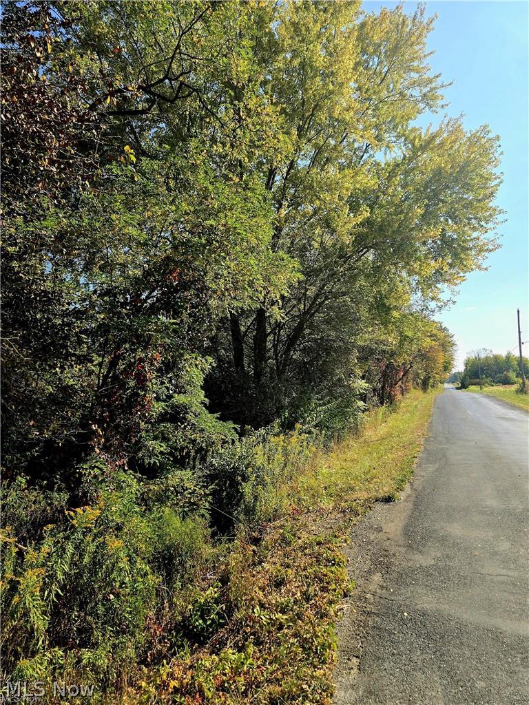 10745 Leffingwell Road North Benton OH 44449