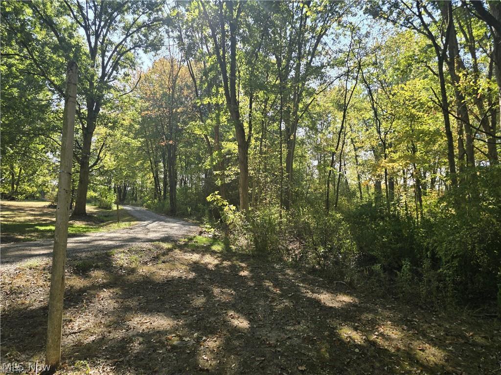 10745 Leffingwell Road North Benton OH 44449