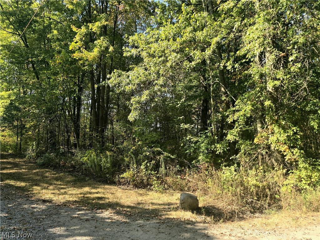 10745 Leffingwell Road North Benton OH 44449