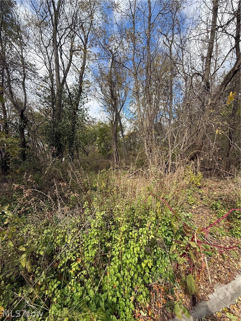 Harding Street Struthers OH 44471